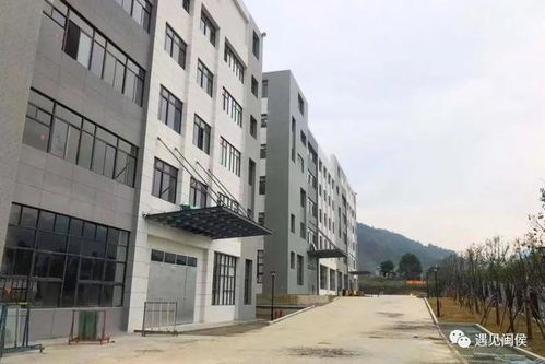 遍地開花 辦大事 閩侯建投年度成績單出爐